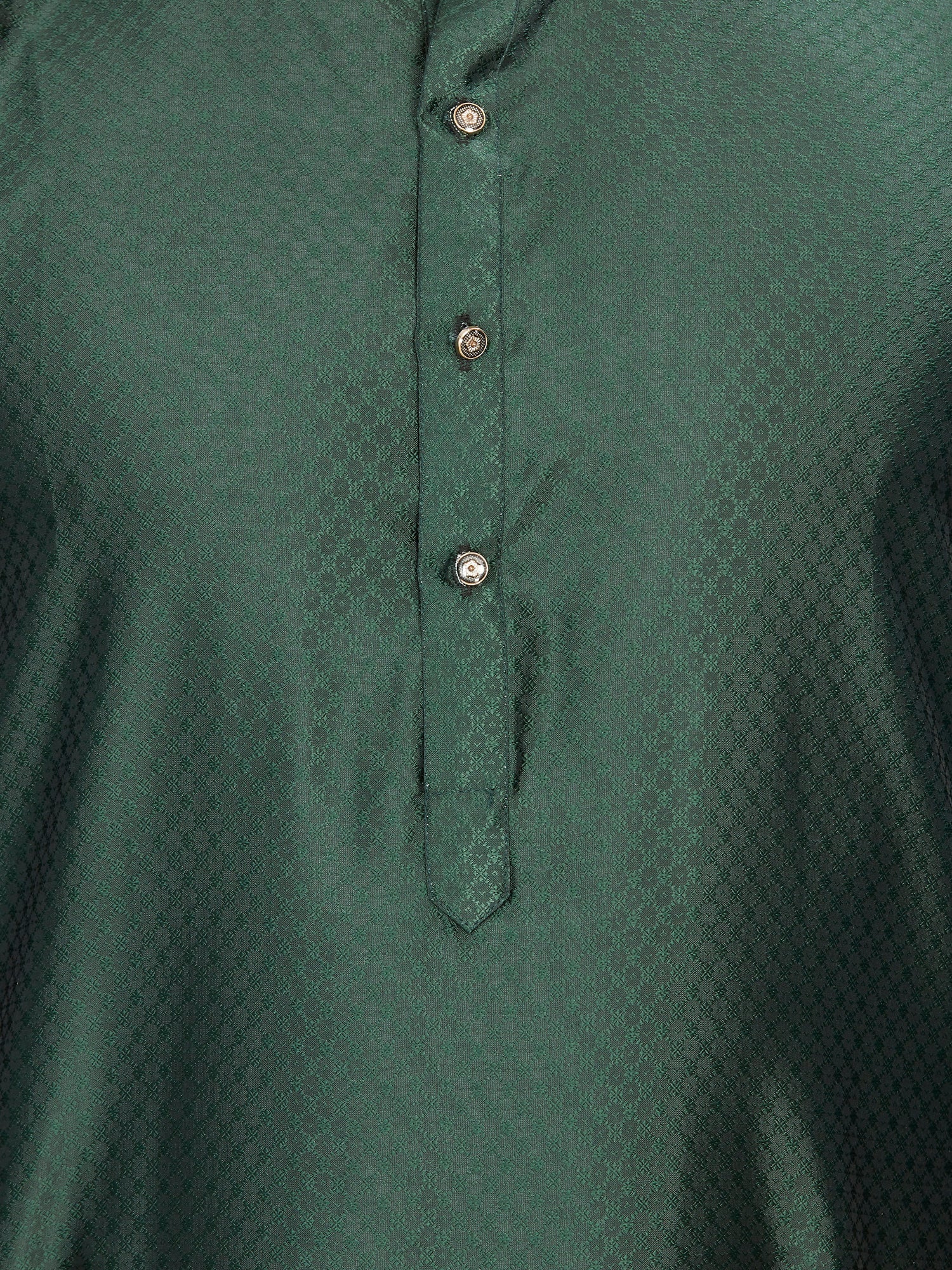 Viscose Kurta for Men - Green | KPAVSCIRGR | DesiQlo