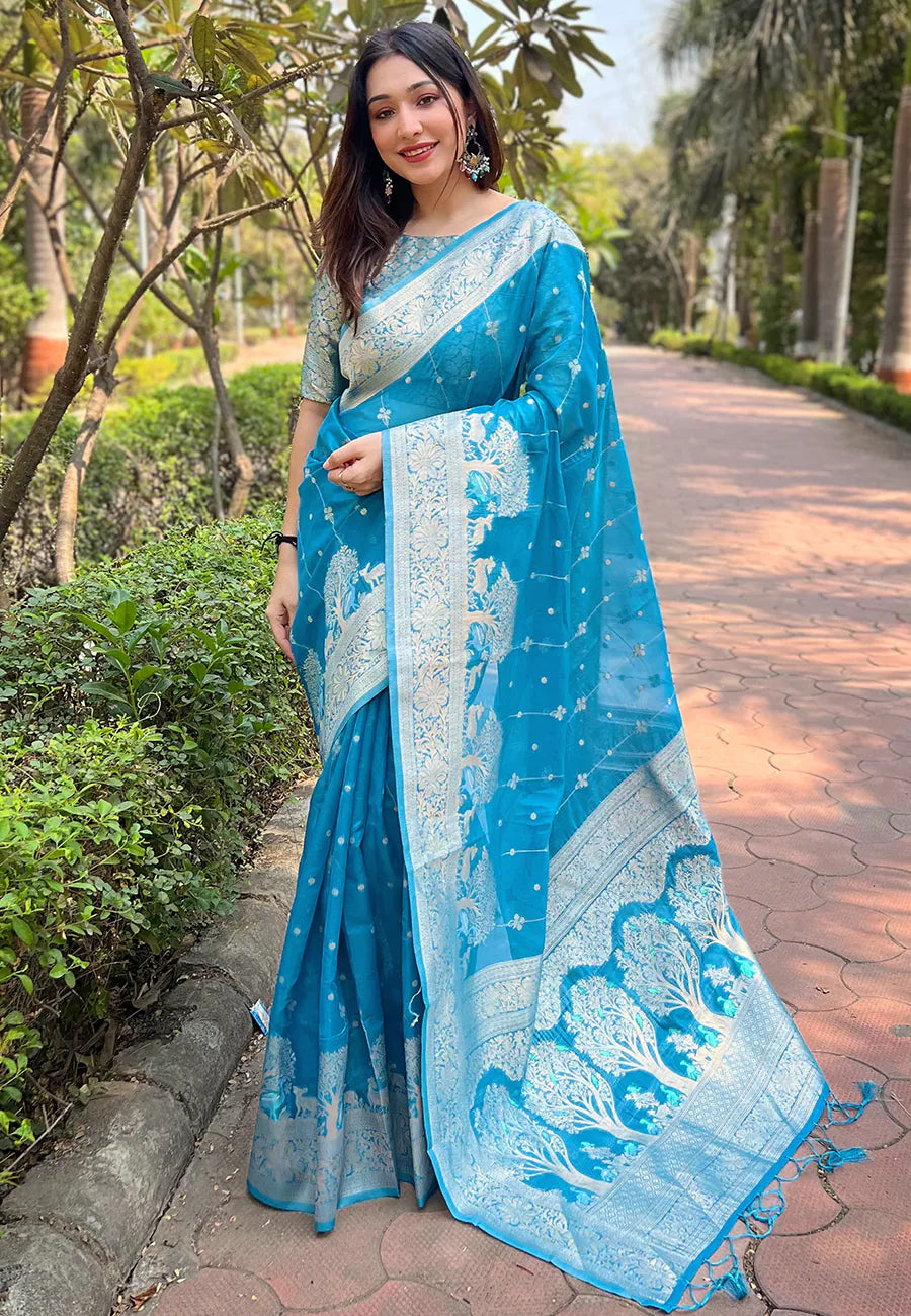 Blue Kanjeevaram Style Saree | Indian Sari - [Brand Name]