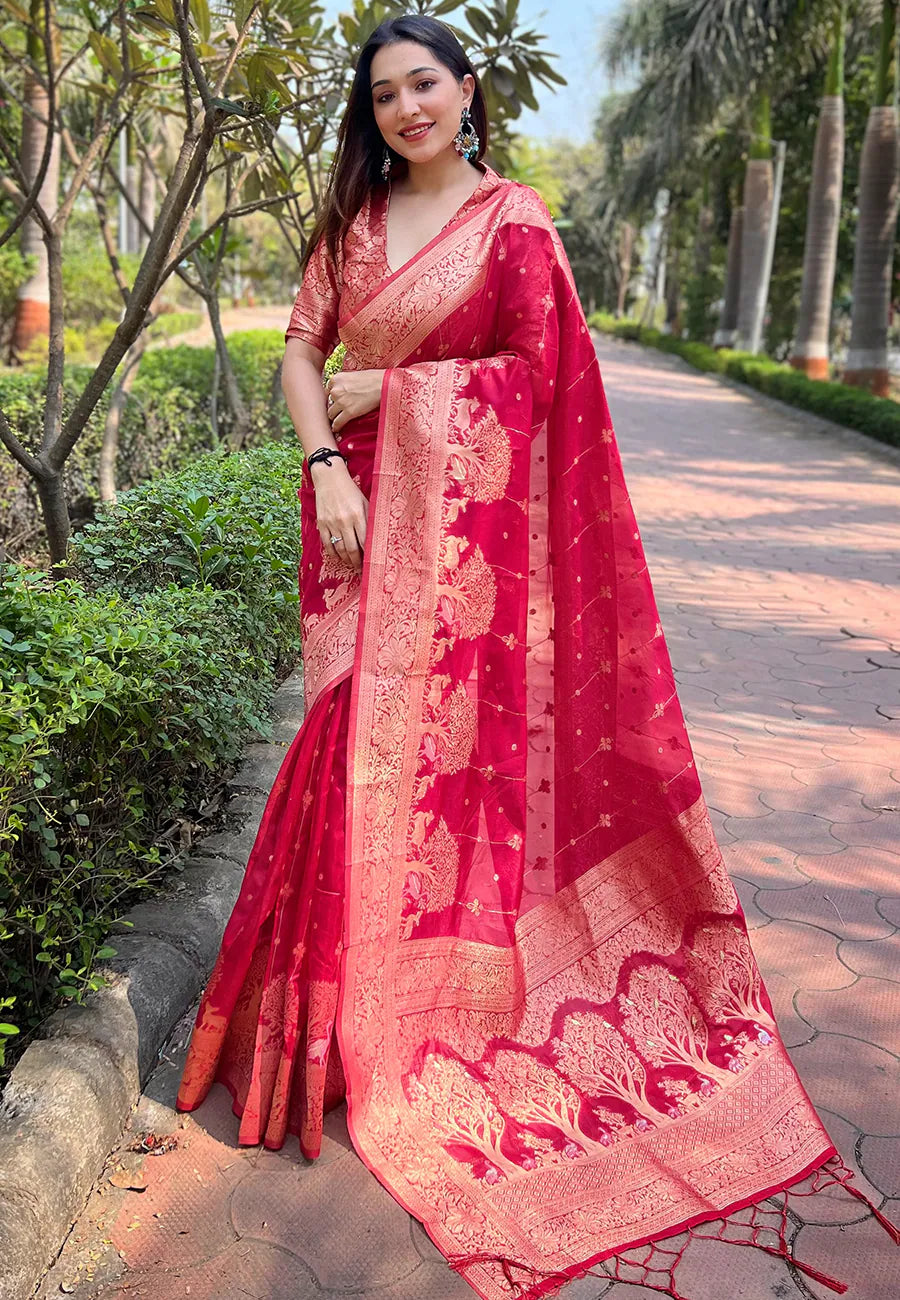 Pink Kanjeevaram Style Saree | Indian Sari Elegance