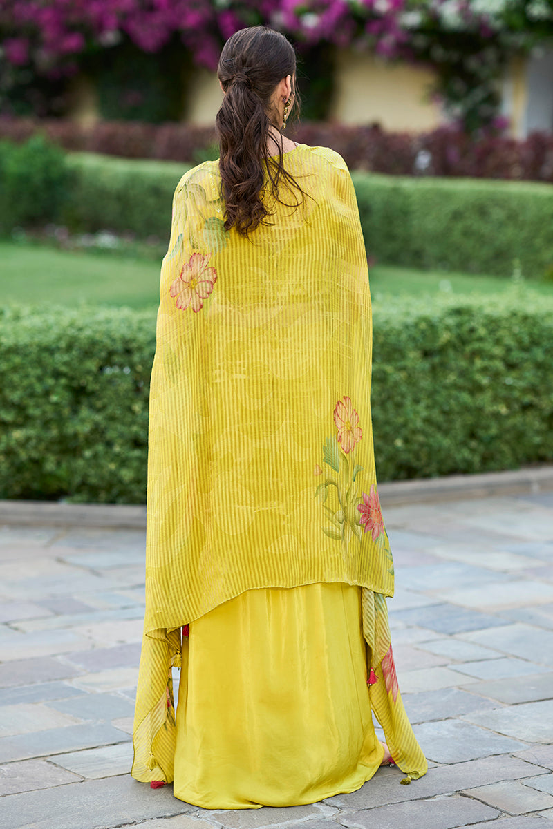 Chiffon Embroidered Sharara Set with Shrug - Pack of 3 Designs | DesiQ