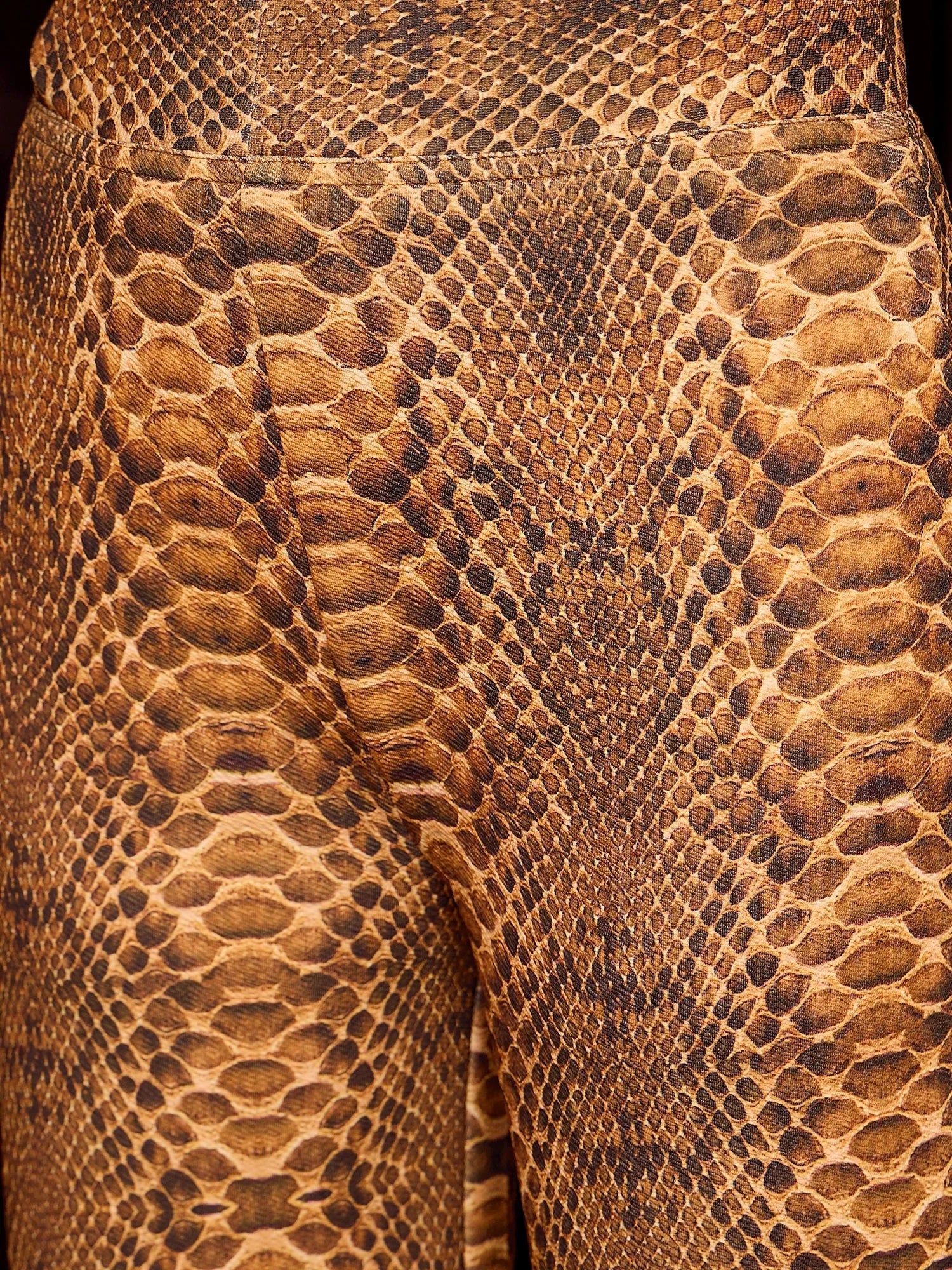 Snake Print Coord Set | Stylish Women's Western Outfits Online