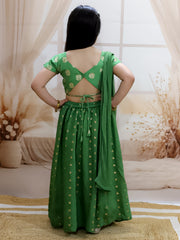 Lehenga Choli Set for Girls - Green | BR24LC77GRA