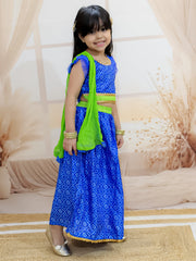 Lehenga Choli Set for Girls - Blue | BR23LC64BLB