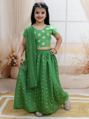 Lehenga Choli Set for Girls - Green | BR24LC77GRA