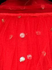 Net Lehenga Choli Set for Kids - Maroon | BS22LC34RDD