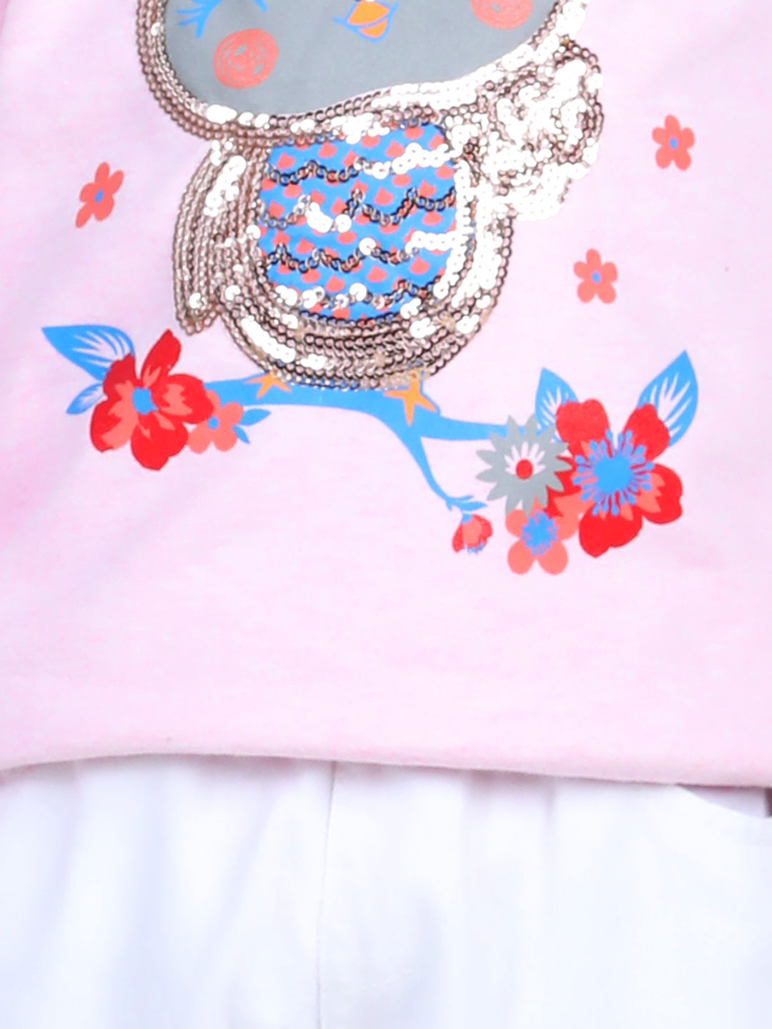 Sweatshirt for Girls - Pink | BW22TP34PIC | DesiQlo