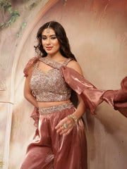 Stylum Women's Brown Solid & Embroidered Organza Co-Ords Set (CSBROWNVANYA)