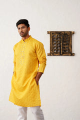 Men's Sequins Embroidered Kurta Styled With Pyjama-JOKP-P