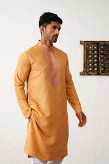 Men's Sequins Embroidered Kurta With Pyjama-JOKP-PX
