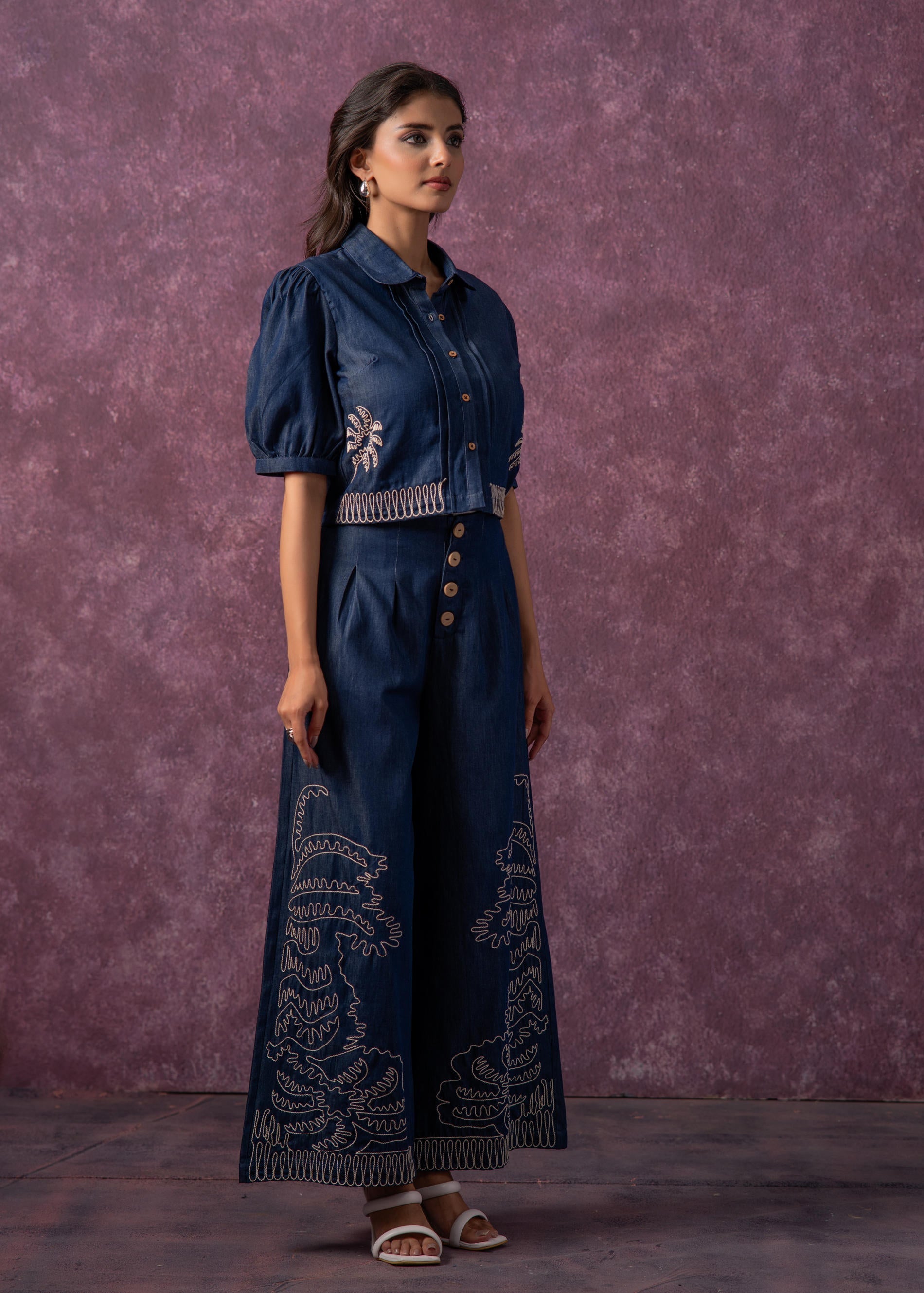 Embroidered Shirt & Straight Pants Co-ord Set | DesiQlo