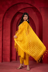 Sunlit Mustard Embroidered Kurta Set with Zari Checked Dupatta-P1910MUSTARD