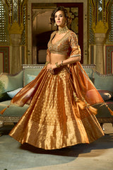 Orange Silk Blend Embroidered Flared Lehenga Choli With Dupatta PKSKD2865