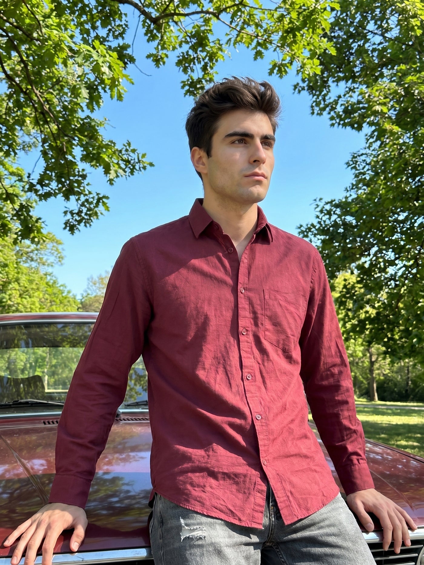 DesiQlo Men Solid Men Regular Fit Shirts - Multicolor - RDSH_006Maroon