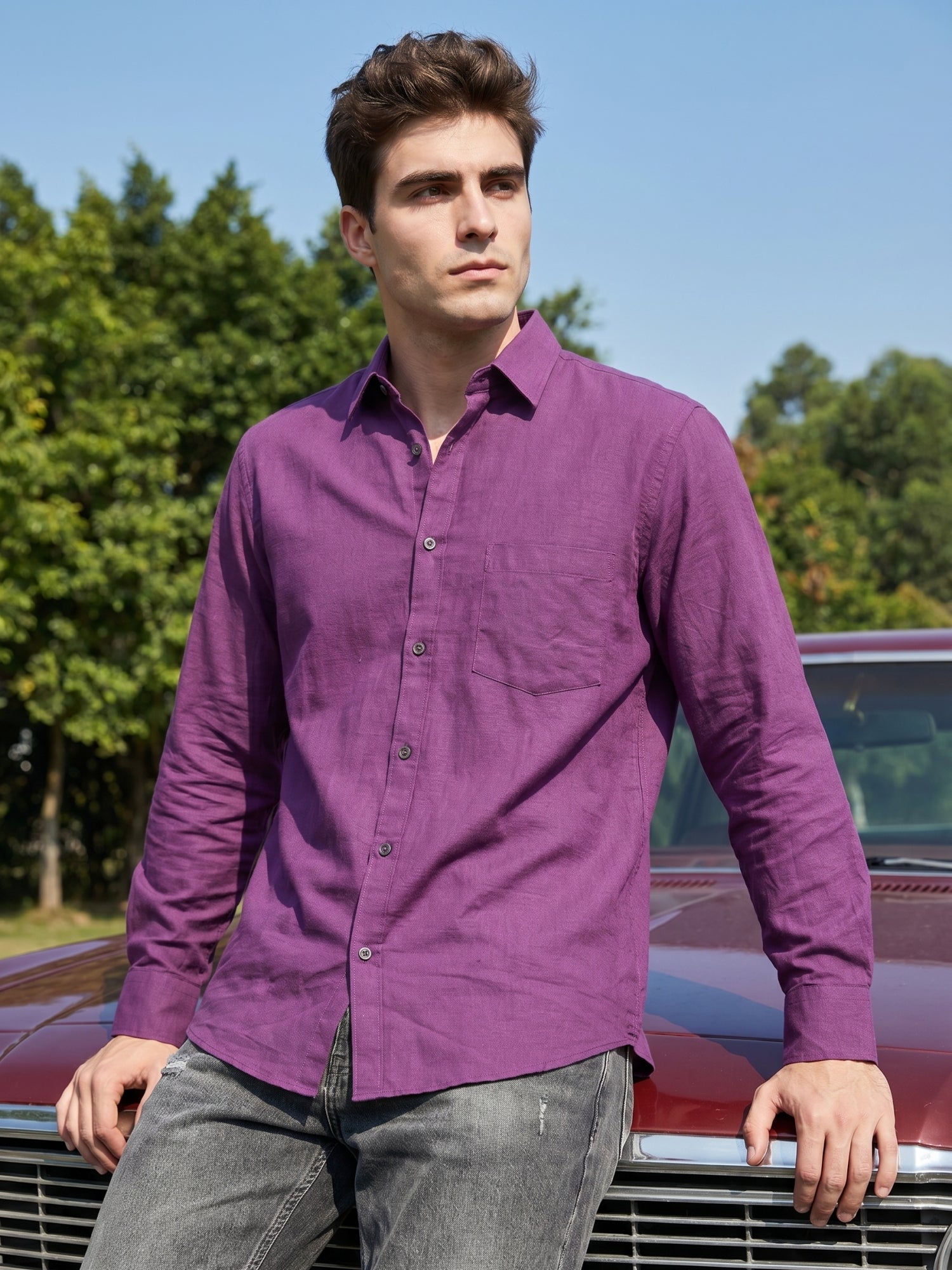 DesiQlo Men Solid Men Regular Fit Shirts - Multicolor - RDSH_006Purple