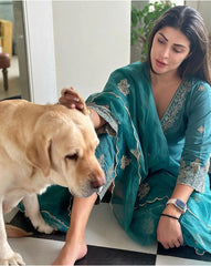 Women's Viscose chanderi Embroidered Straight Kurta Pant With Dupatta-ME60 Pine Green KPD