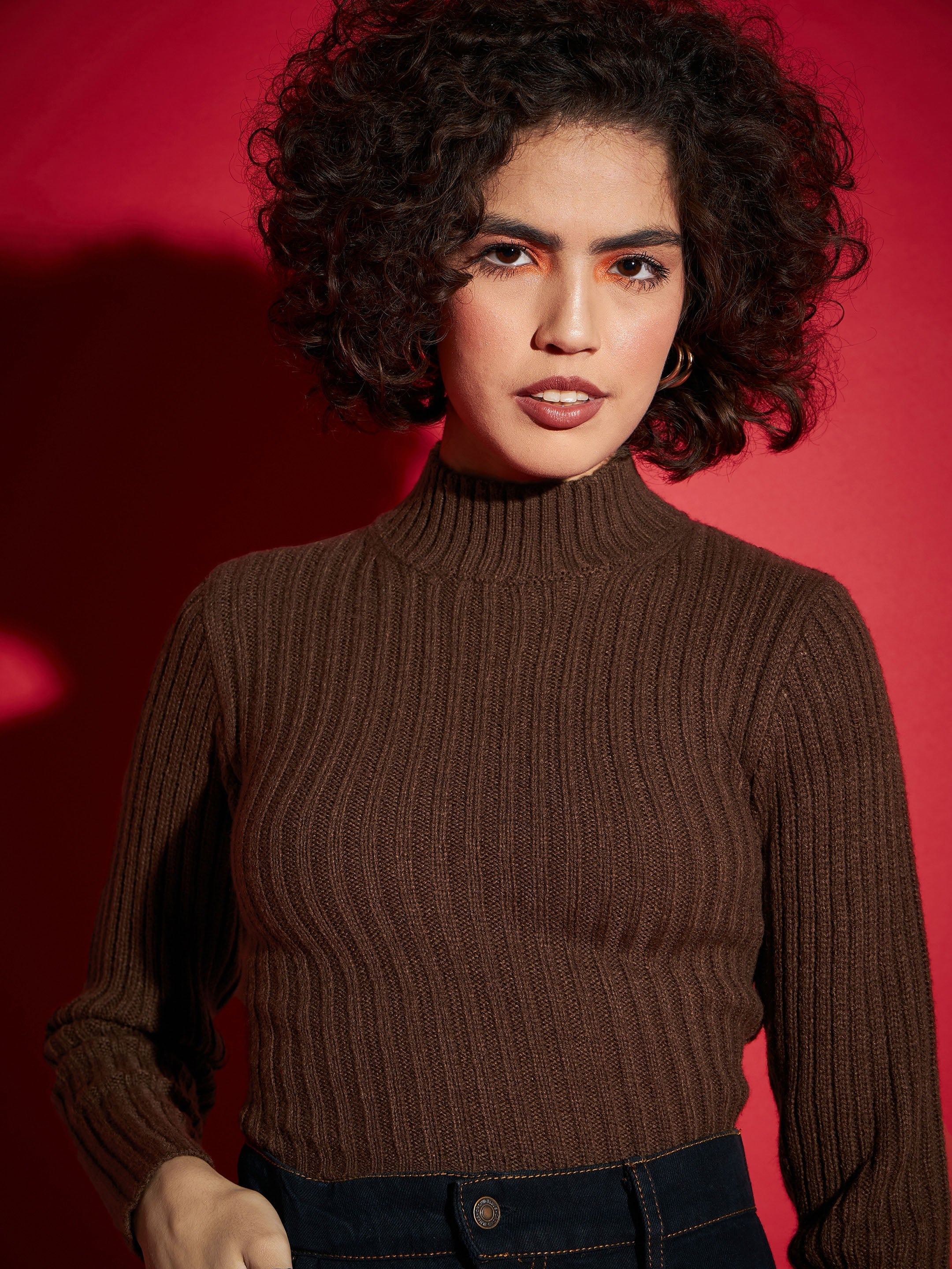 Women Brown Rib High Neck Full Sleeves Sweater-SFSWSH7285_Brown