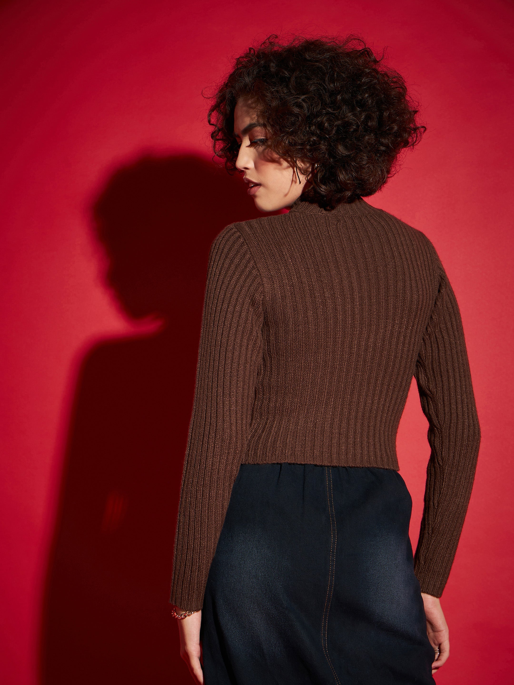 Women Brown Rib High Neck Full Sleeves Sweater-SFSWSH7285_Brown