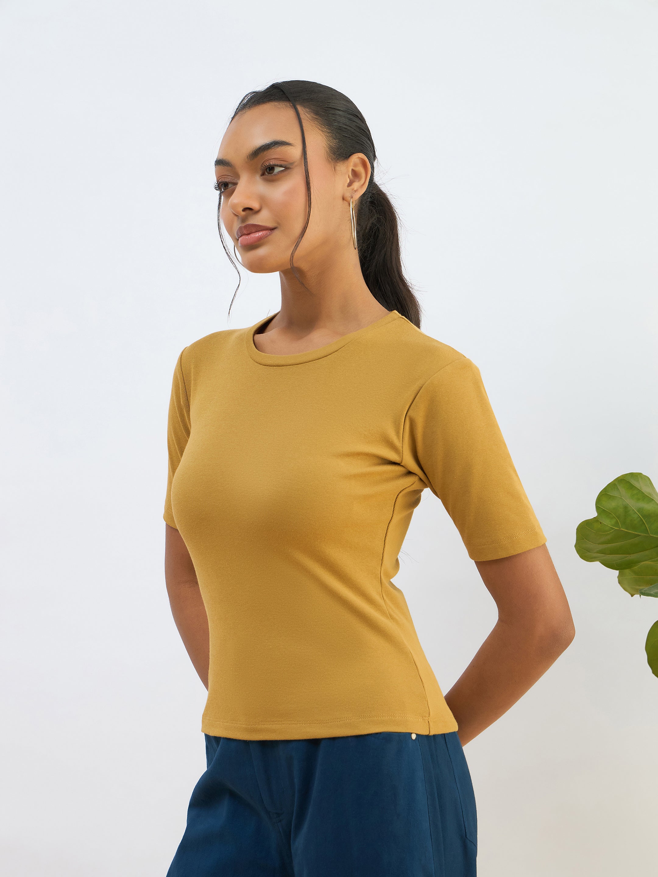 Women Khaki Rib Short Sleeves Top-SFTOPS42276