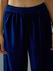Women Royal Blue Velvet Elasticated Pants-SHPANT50947