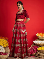 Women Maroon Velvet Crop Top With Anarkali Skirt-SHSET96590