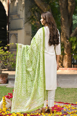 Green Rayon Blend Solid Embroidered Straight Suit Set VKSKD2215GRN