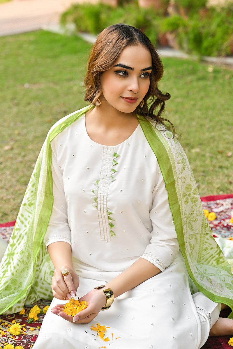 Green Rayon Blend Solid Embroidered Straight Suit Set VKSKD2215GRN | D