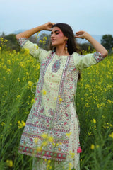 Limegreen Cambric Printed Straight Kurta Palazzo Dupatta Set